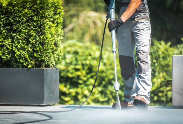 Best Gutter Cleaning  in Honeyville, UT