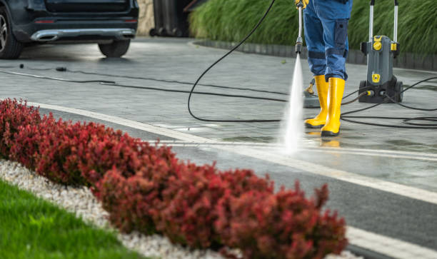 Best Sidewalk and Walkway Cleaning  in Honeyville, UT